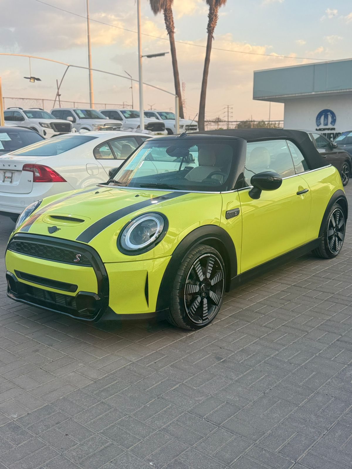 MINI COOPER S convertible iconic AUT 2023